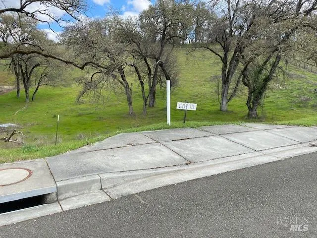 a view of a park with large trees