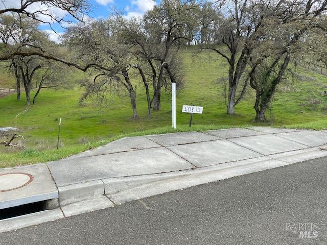 471 Tehuacan Road Ukiah, CA 95482 - Photo 3 of 4 a view of a park with large trees