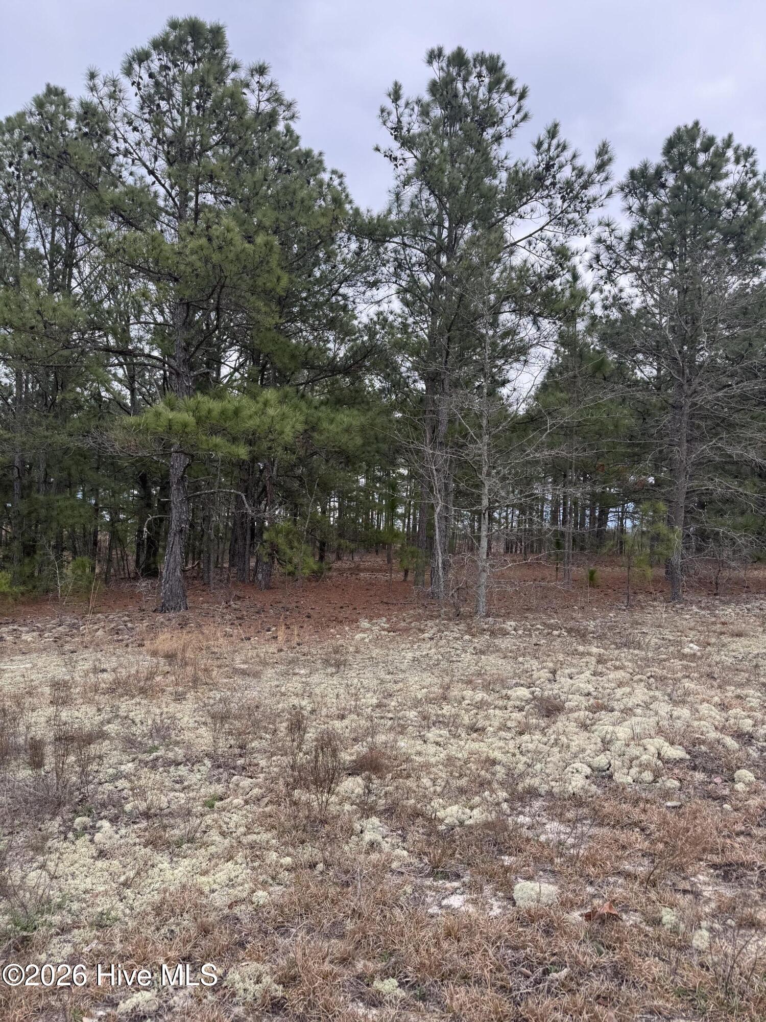 138 Batton Road Hamlet, NC 28345 - Photo 1 of 2 IMG_5024