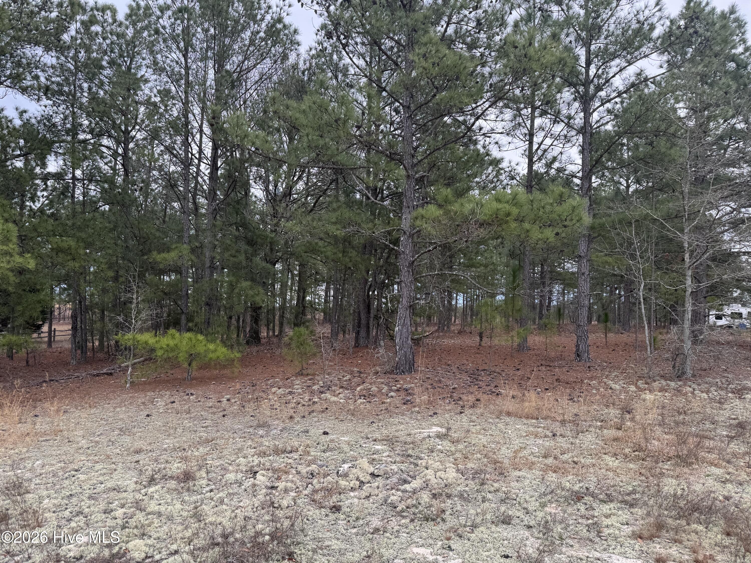 138 Batton Road Hamlet, NC 28345 - Photo 2 of 2 IMG_5023