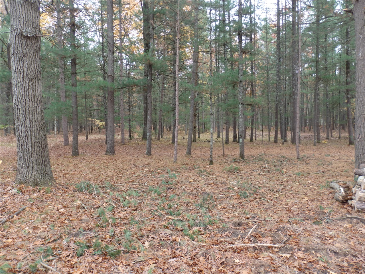 12320 Jacobsen Road Wellston, MI 49689 - Photo 9 of 12