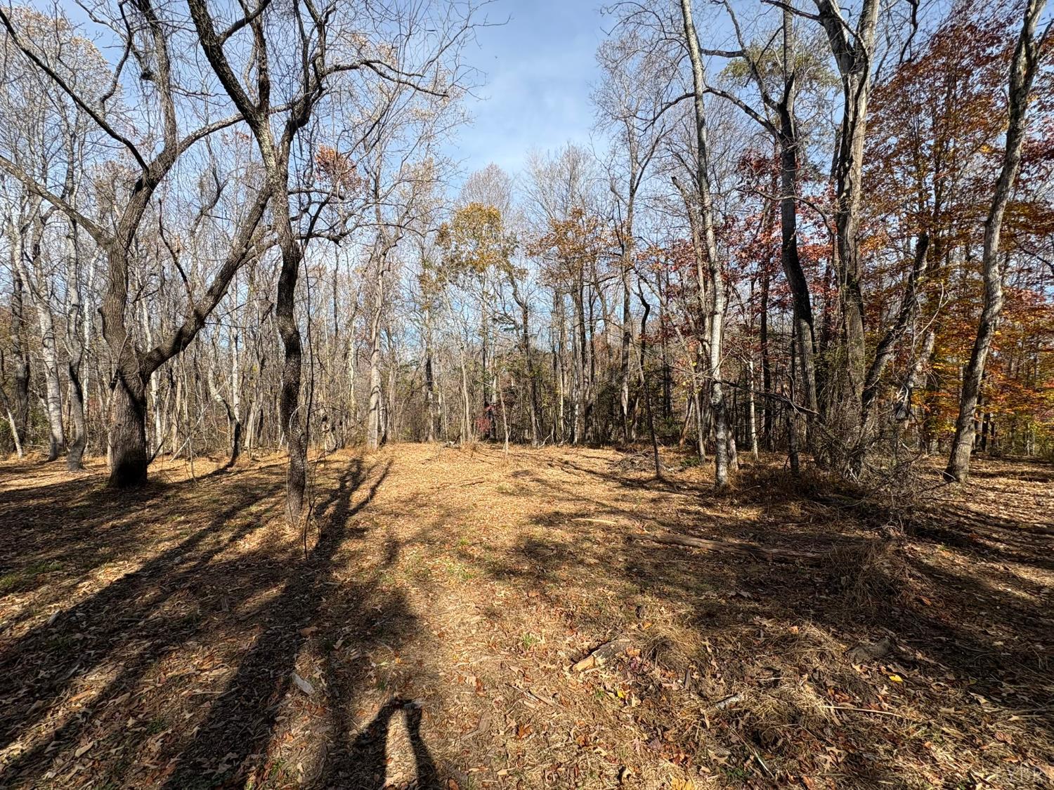 9 F Dulwich Drive Amherst, VA 24521 - Photo 14 of 22 a view of road and trees