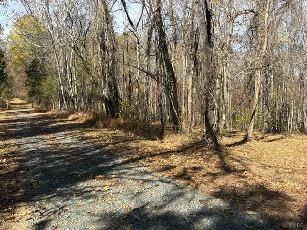 a view of a yard with trees