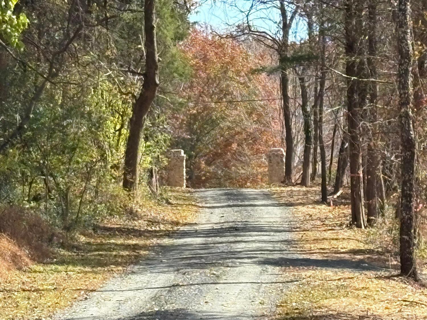 9 F Dulwich Drive Amherst, VA 24521 - Photo 2 of 22 a view of a house with a large tree