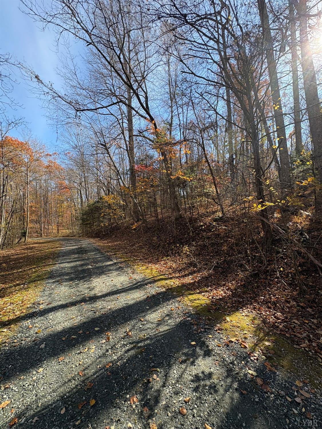 9 F Dulwich Drive Amherst, VA 24521 - Photo 5 of 22 a view of yard with green space