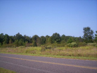 0 Weeks Road Williston, SC 29853 - Photo 1 of 1