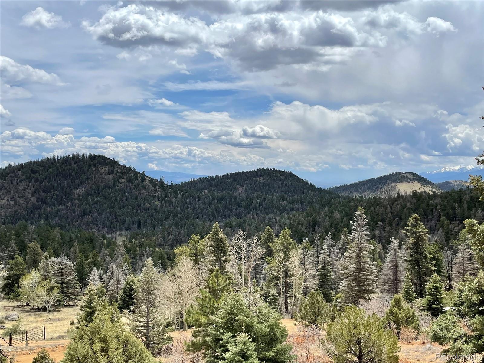 103 Trail Drive Cotopaxi, CO 81223 - Photo 2 of 6