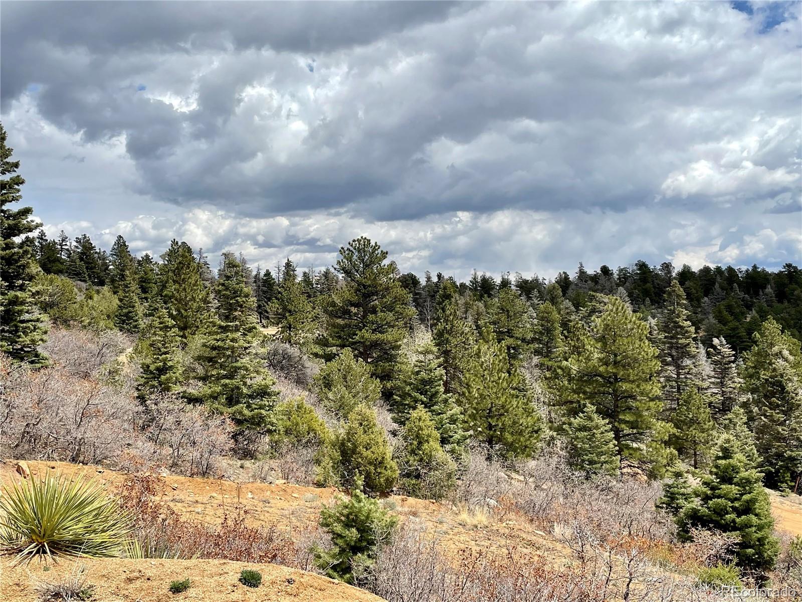 103 Trail Drive Cotopaxi, CO 81223 - Photo 3 of 6