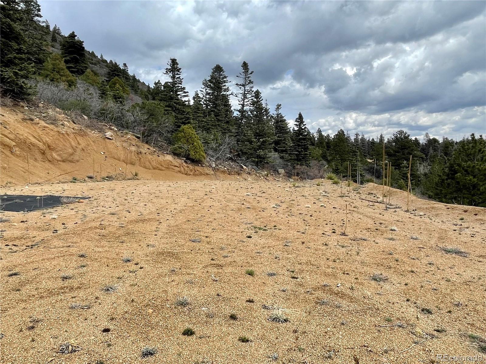 103 Trail Drive Cotopaxi, CO 81223 - Photo 4 of 6