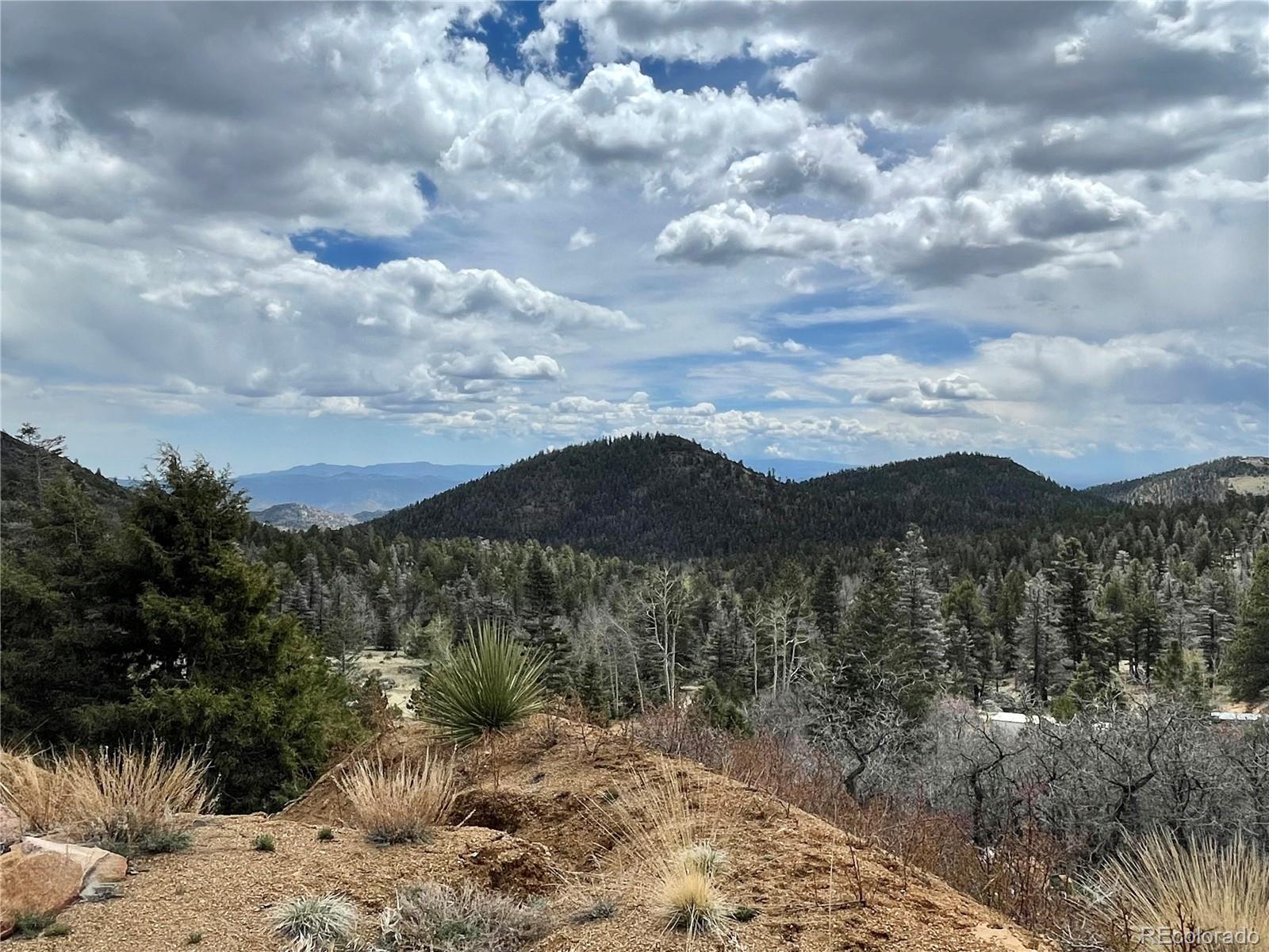 103 Trail Drive Cotopaxi, CO 81223 - Photo 6 of 6