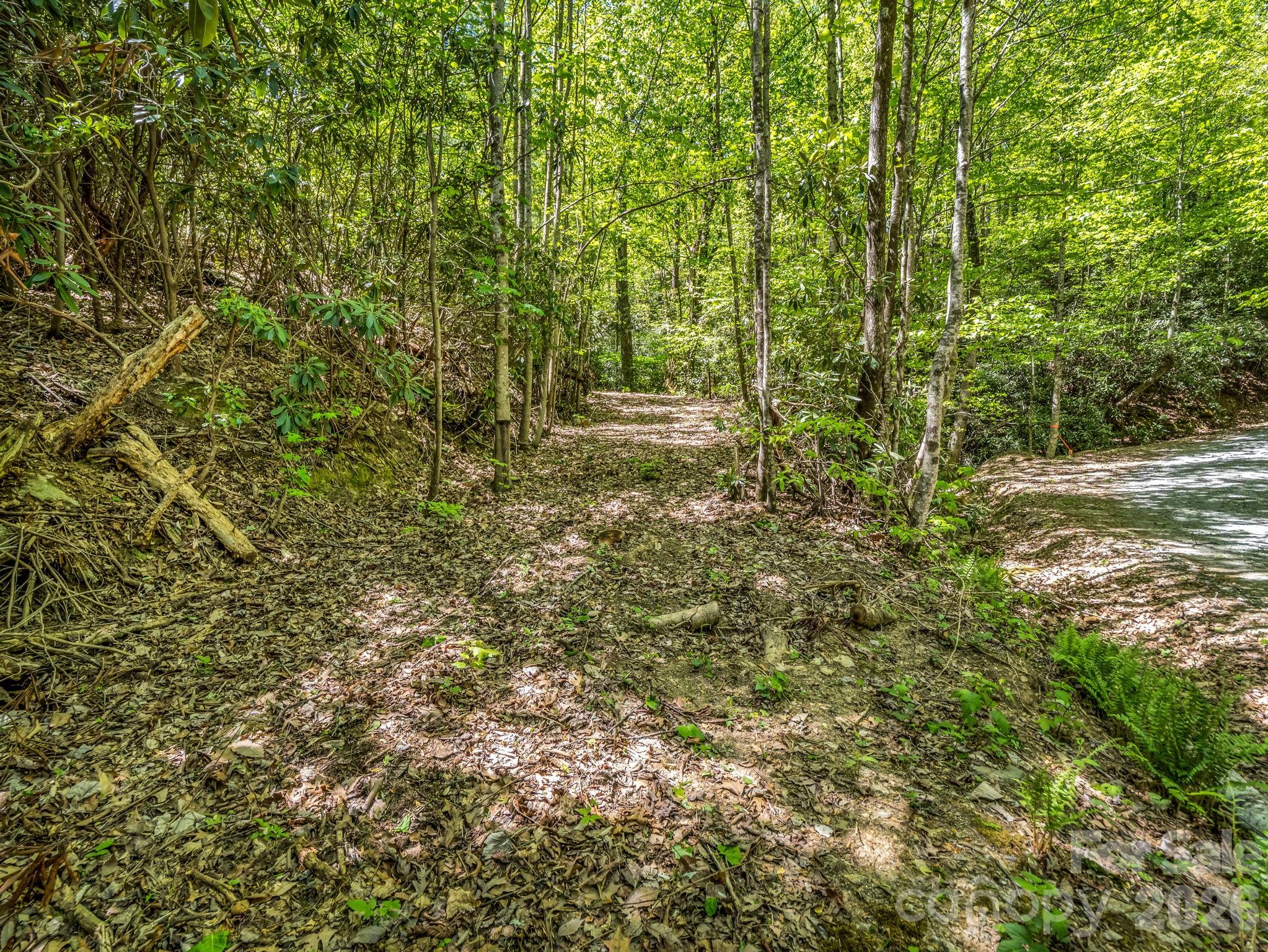 0 Lakeview Drive, Unit 414/415 Tryon, NC 28782 - Photo 1 of 25 a view of a large yard with a tree