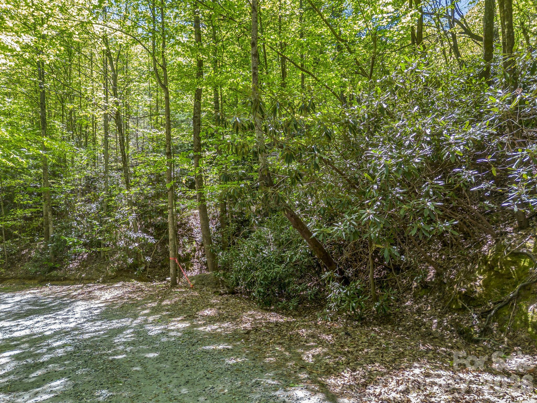 0 Lakeview Drive, Unit 414/415 Tryon, NC 28782 - Photo 13 of 25 a view of a yard with plants and trees