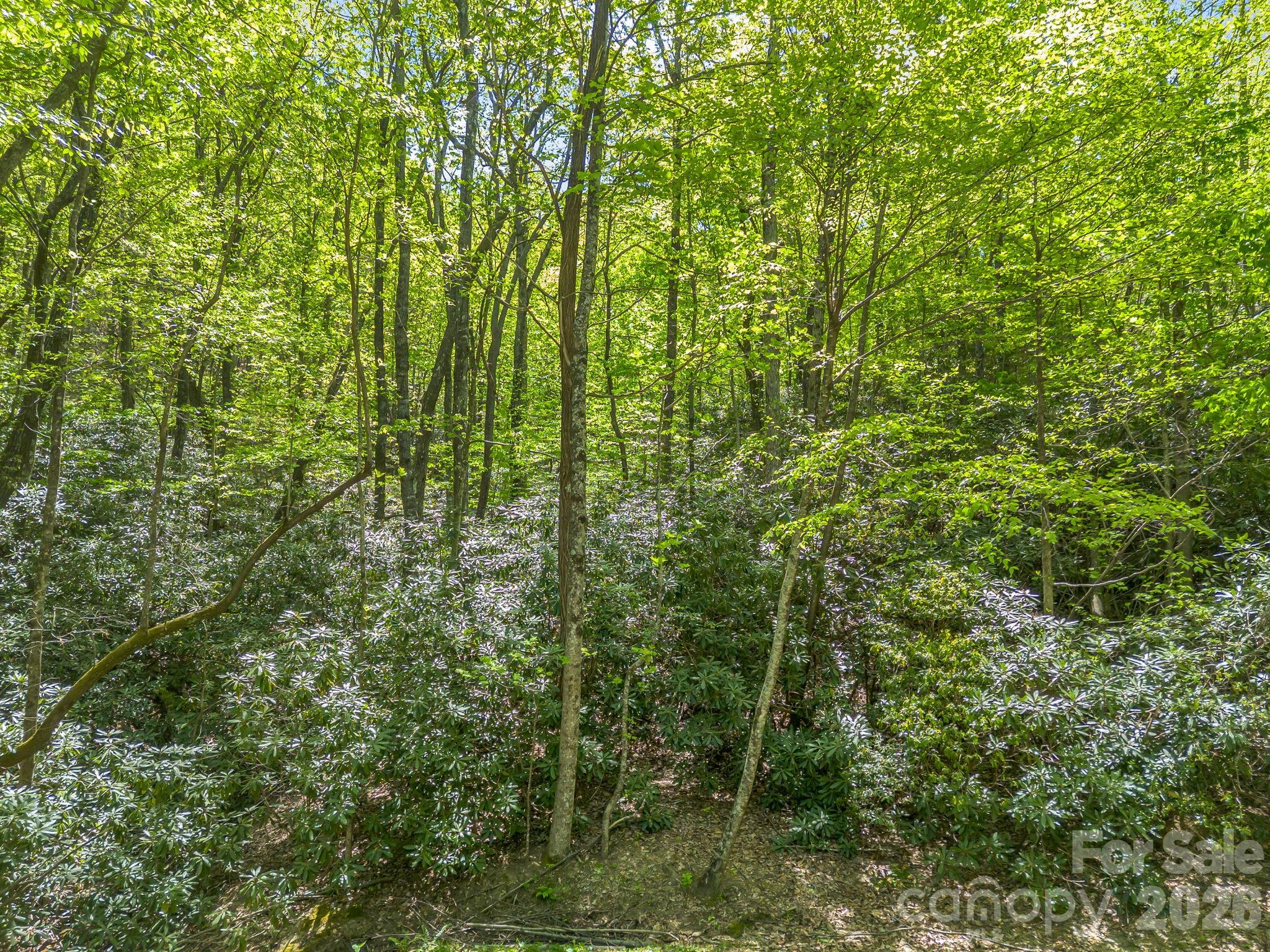 0 Lakeview Drive, Unit 414/415 Tryon, NC 28782 - Photo 14 of 25 a view of a yard