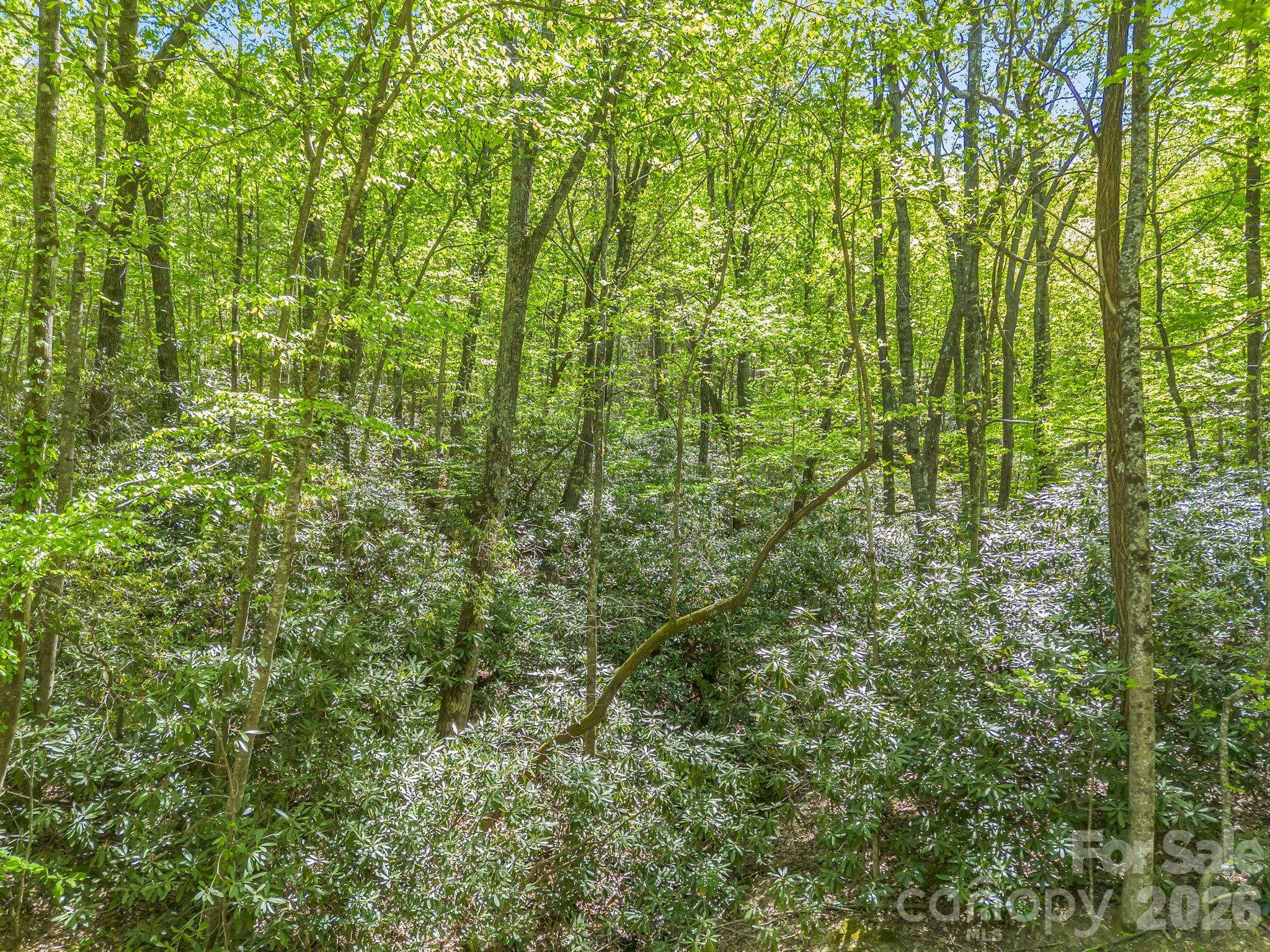 0 Lakeview Drive, Unit 414/415 Tryon, NC 28782 - Photo 15 of 25 a view of a lush green forest