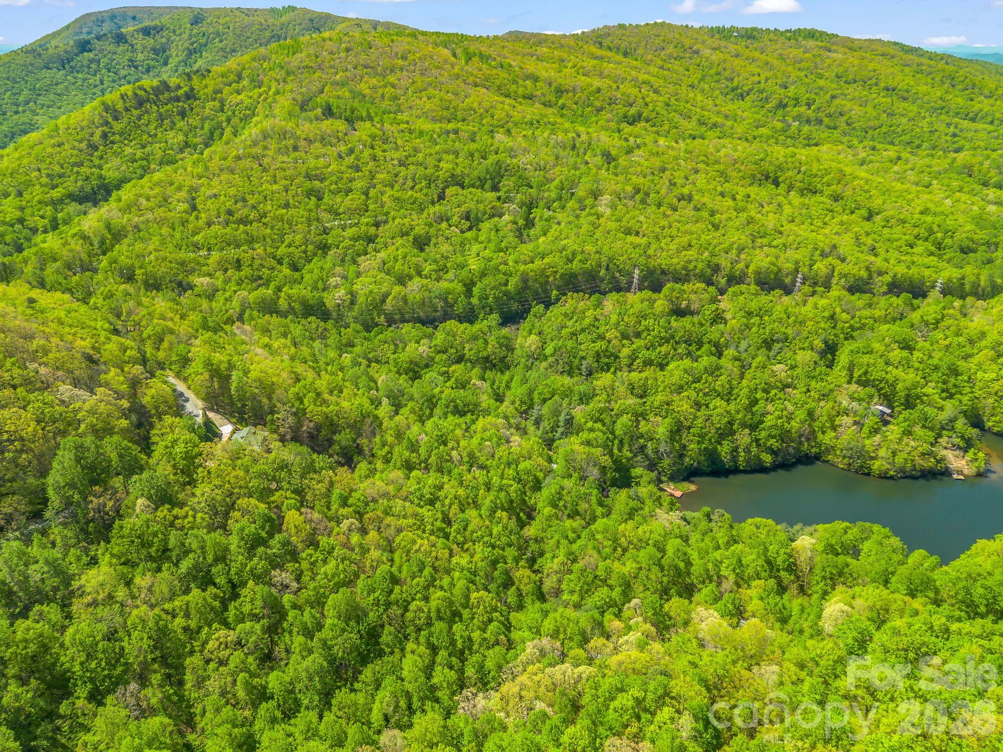 0 Lakeview Drive, Unit 414/415 Tryon, NC 28782 - Photo 20 of 25