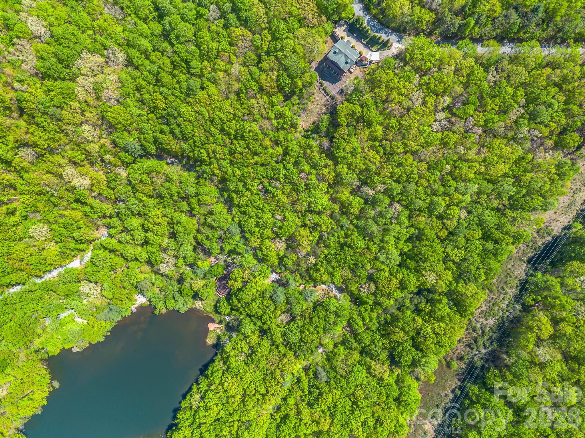 0 Lakeview Drive, Unit 414/415 Tryon, NC 28782 - Photo 21 of 25 a view of a lush green forest