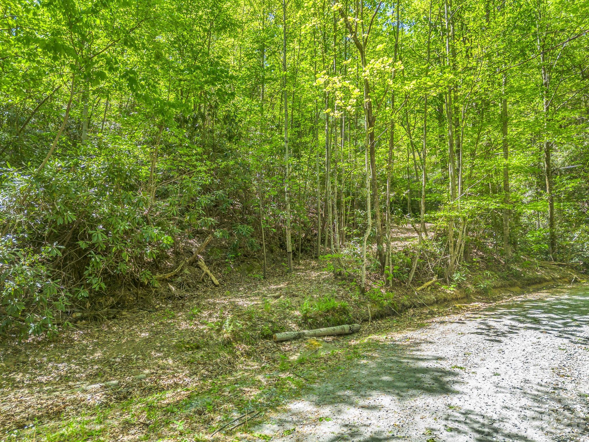 0 Lakeview Drive, Unit 414/415 Tryon, NC 28782 - Photo 3 of 25 a view of a yard with plants and large trees