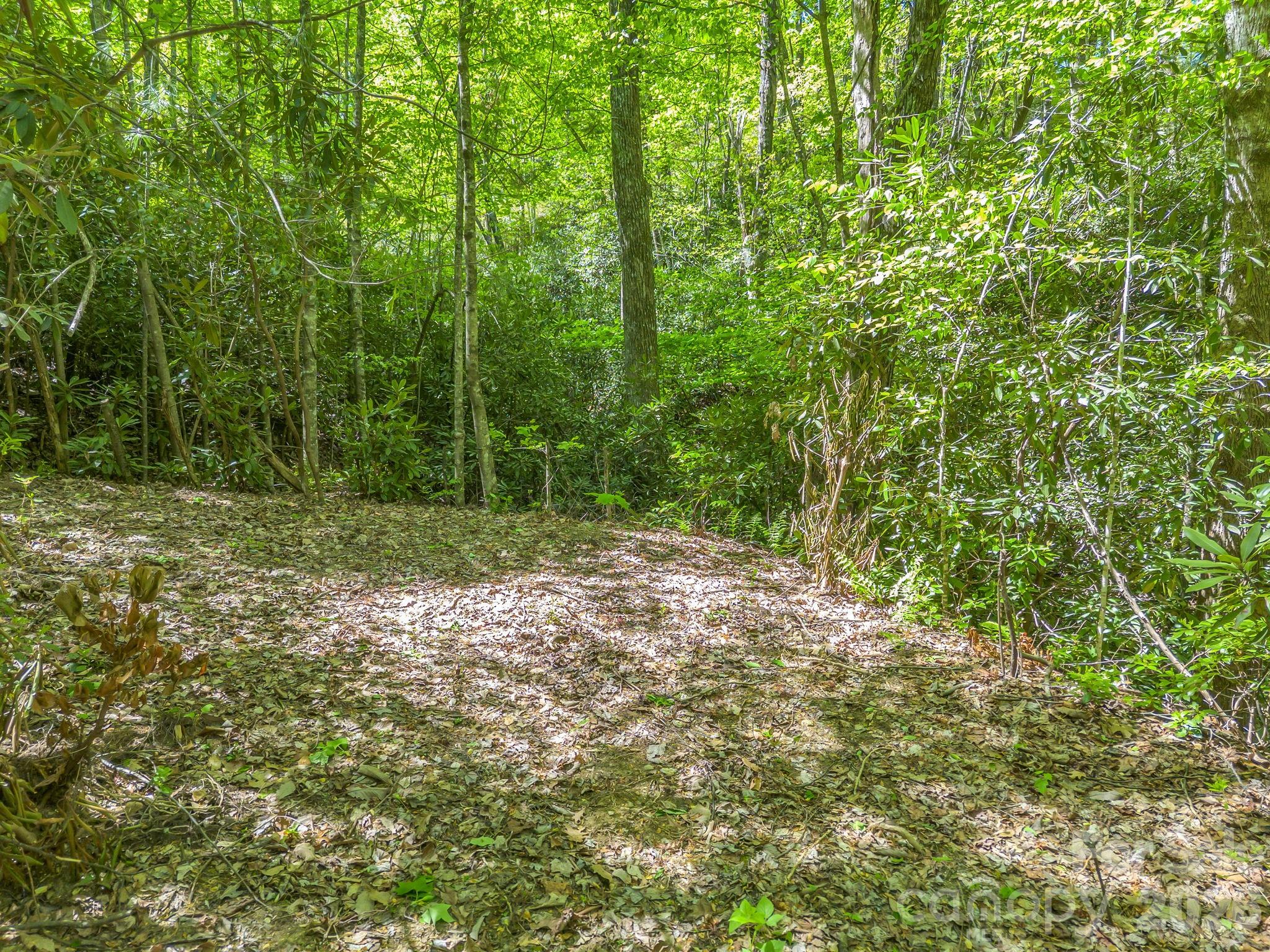 0 Lakeview Drive, Unit 414/415 Tryon, NC 28782 - Photo 5 of 25 a big yard with lots of green space and tiles