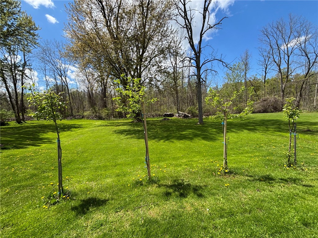 3344 Hulberton Road Murray, NY 14470 - Photo 25 of 25