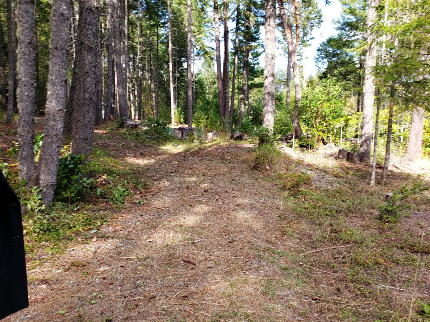 0 Crooks Creek Road West Selma, OR 97538 - Photo 4 of 13 Additional Photo
