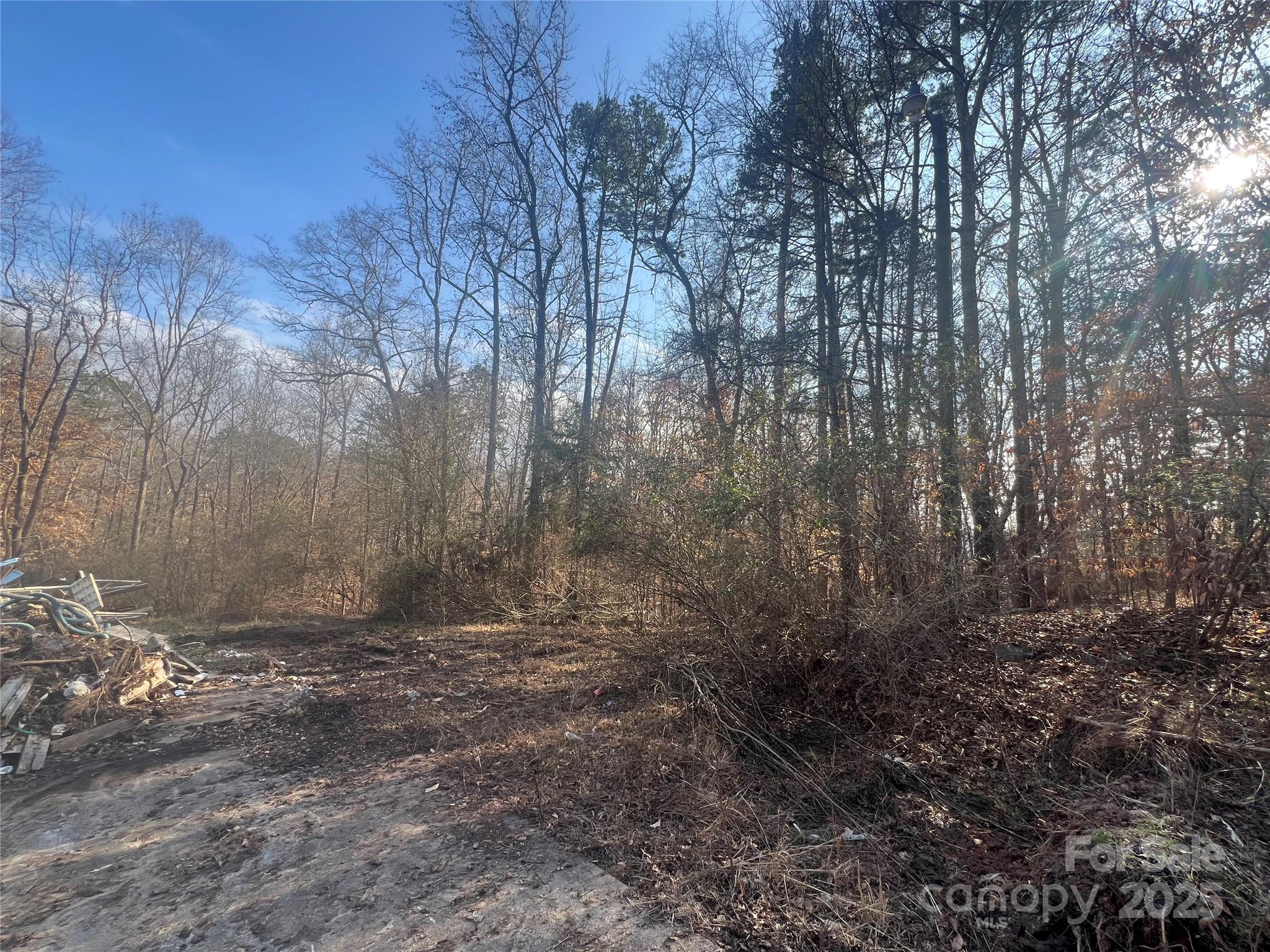 1630 Riddle Extension Clover, SC 29710 - Photo 13 of 15