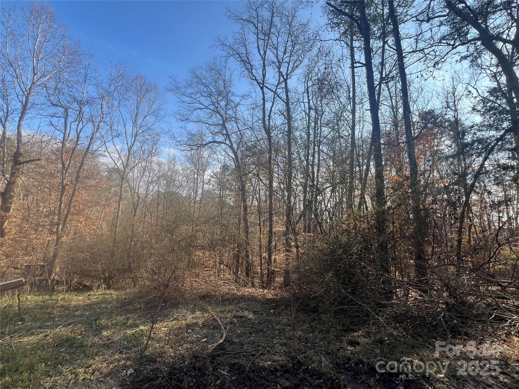 1630 Riddle Extension Clover, SC 29710 - Photo 14 of 15