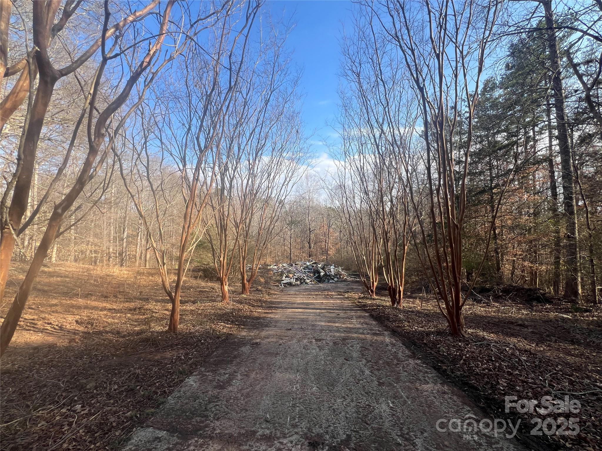 1630 Riddle Extension Clover, SC 29710 - Photo 15 of 15