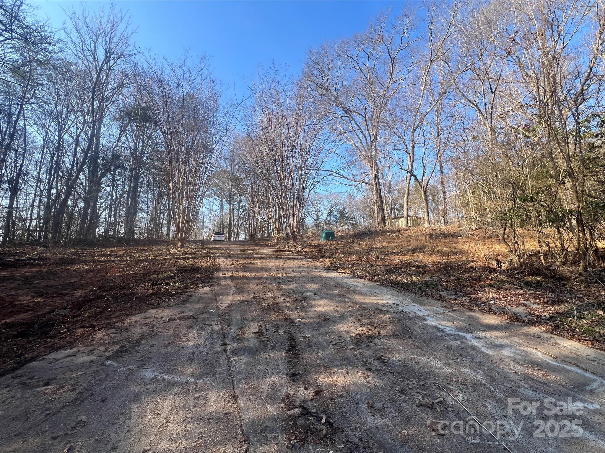 1630 Riddle Extension Clover, SC 29710 - Photo 2 of 15