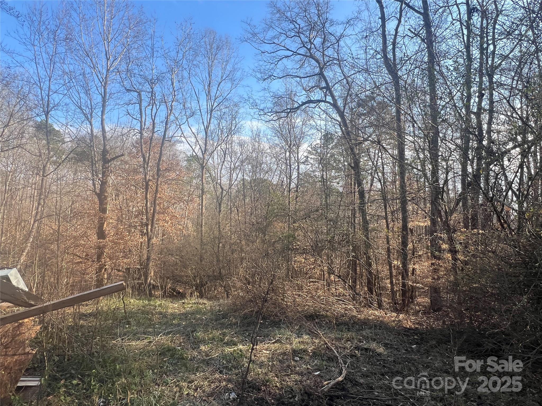 1630 Riddle Extension Clover, SC 29710 - Photo 3 of 15