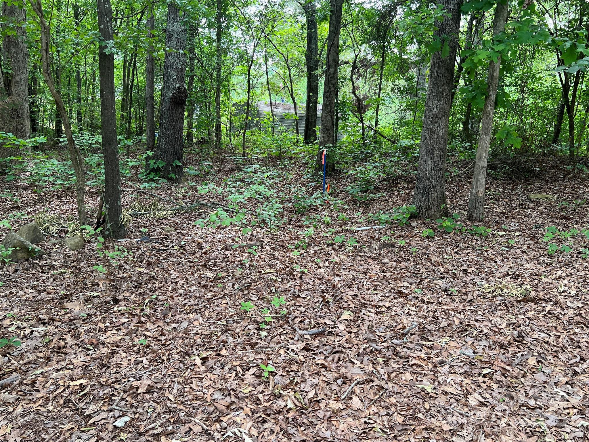 1630 Riddle Extension Clover, SC 29710 - Photo 7 of 15