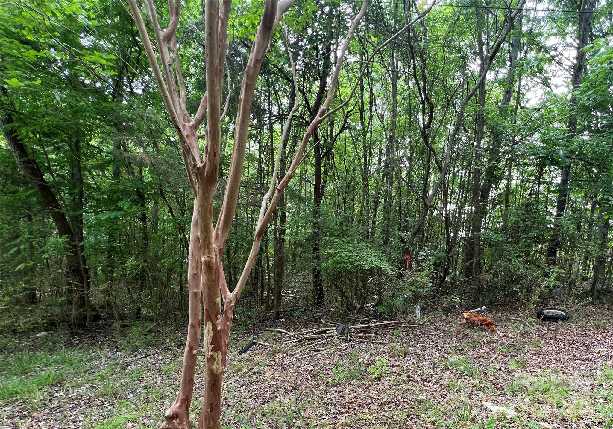 1630 Riddle Extension Clover, SC 29710 - Photo 8 of 15