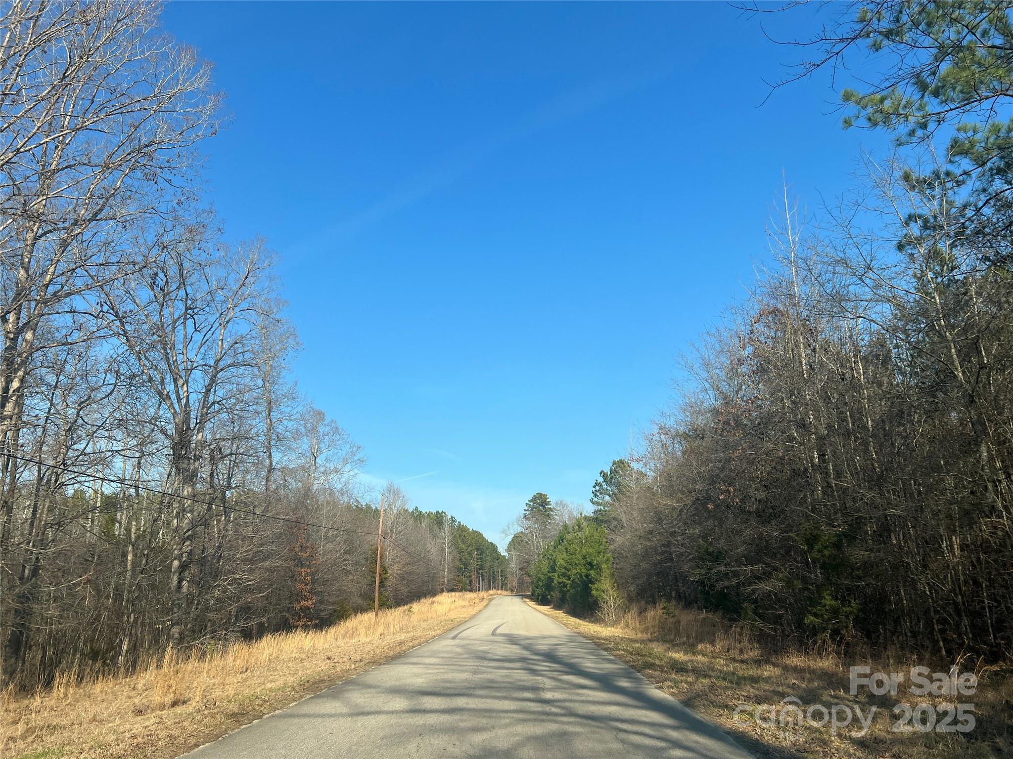 1630 Riddle Extension Clover, SC 29710 - Photo 10 of 15
