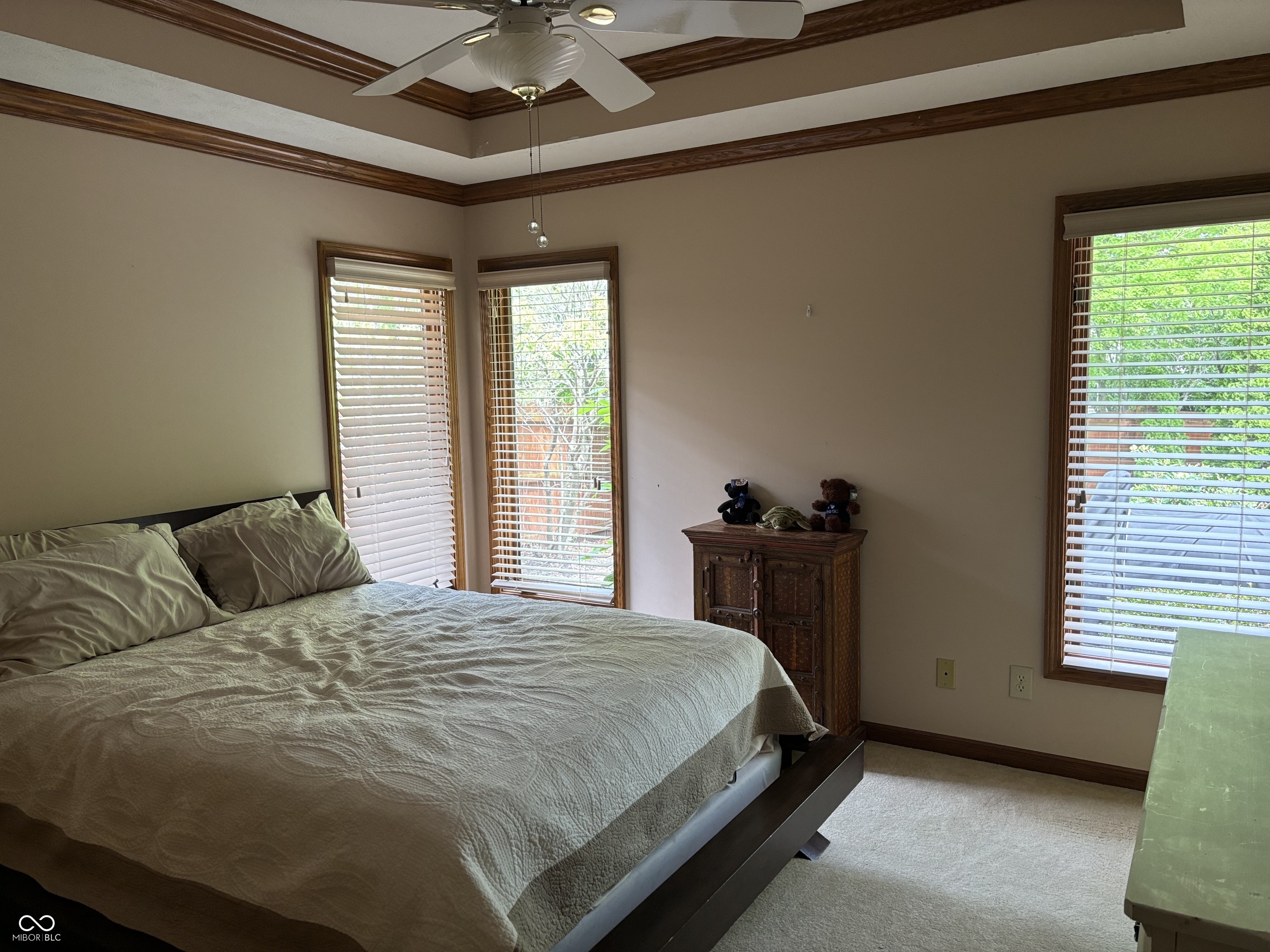 29 Raccoon Court Brownsburg, IN 46112 - Photo 12 of 18