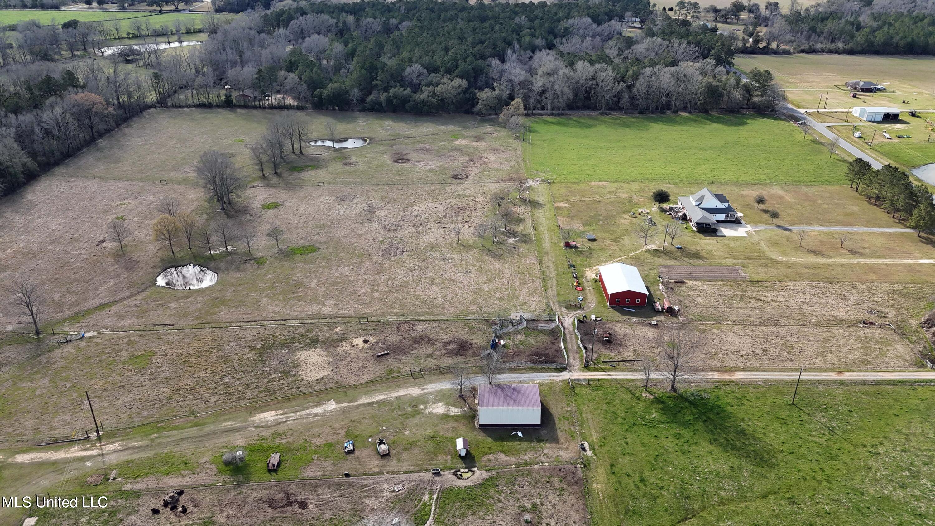 20-acres Basin Refuge Road Lucedale, MS 39452 - Photo 13 of 24 003