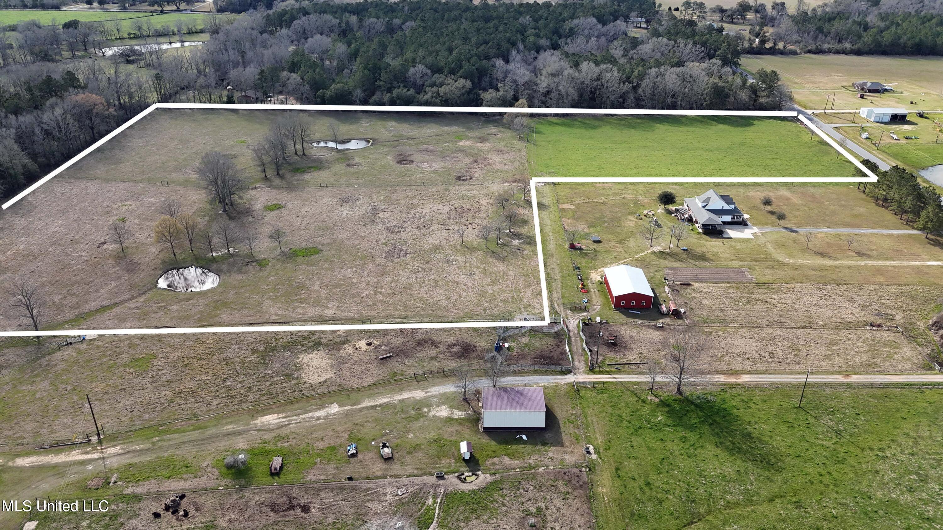20-acres Basin Refuge Road Lucedale, MS 39452 - Photo 14 of 24 003a