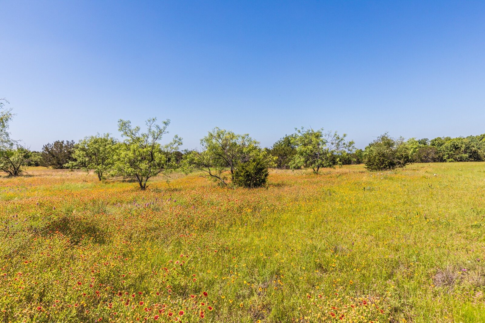 3300 County Road 3300 Kempner, TX 76539 - Photo 15 of 24