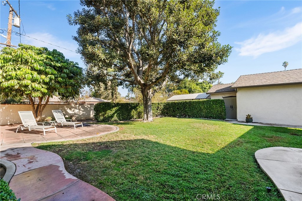 4651 Emerson Street Riverside, CA 92506 - Photo 25 of 30 a view of a backyard with large trees