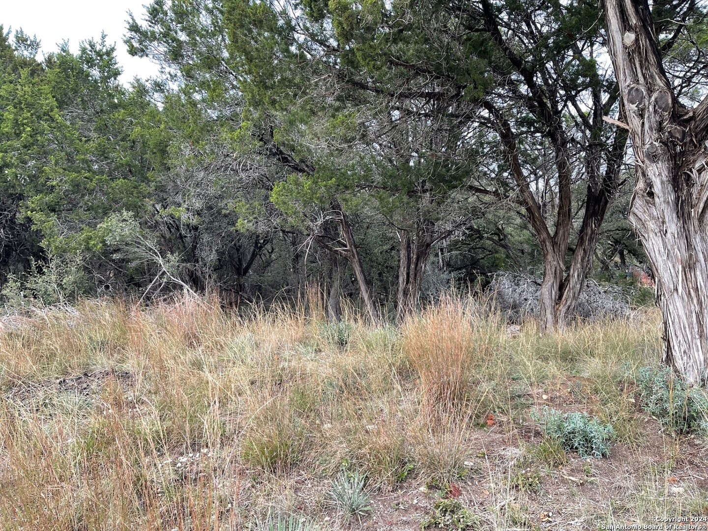 0 Whartons Dock Bandera, TX 78003 - Photo 1 of 7