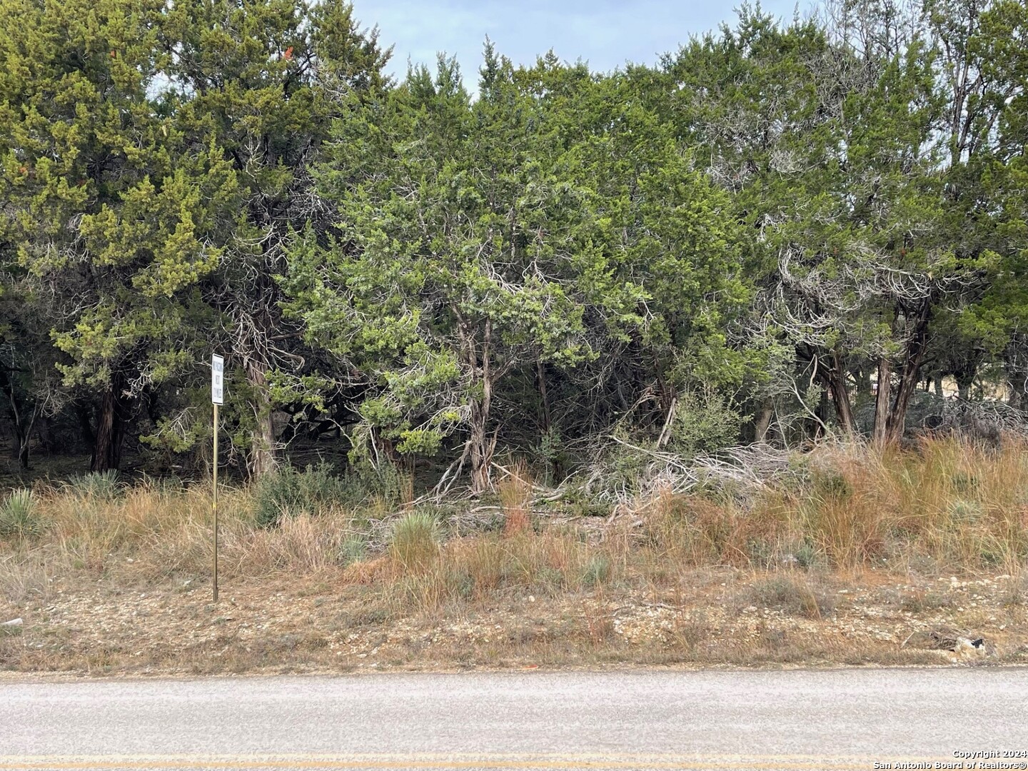 0 Whartons Dock Bandera, TX 78003 - Photo 2 of 7 a view of a yard with a tree