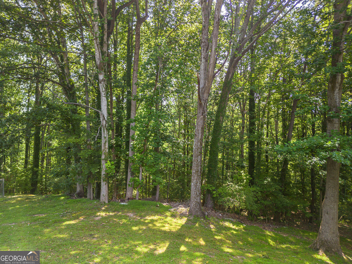 0 Niskey Lake Road Southwest Atlanta, GA 30331 - Photo 3 of 12