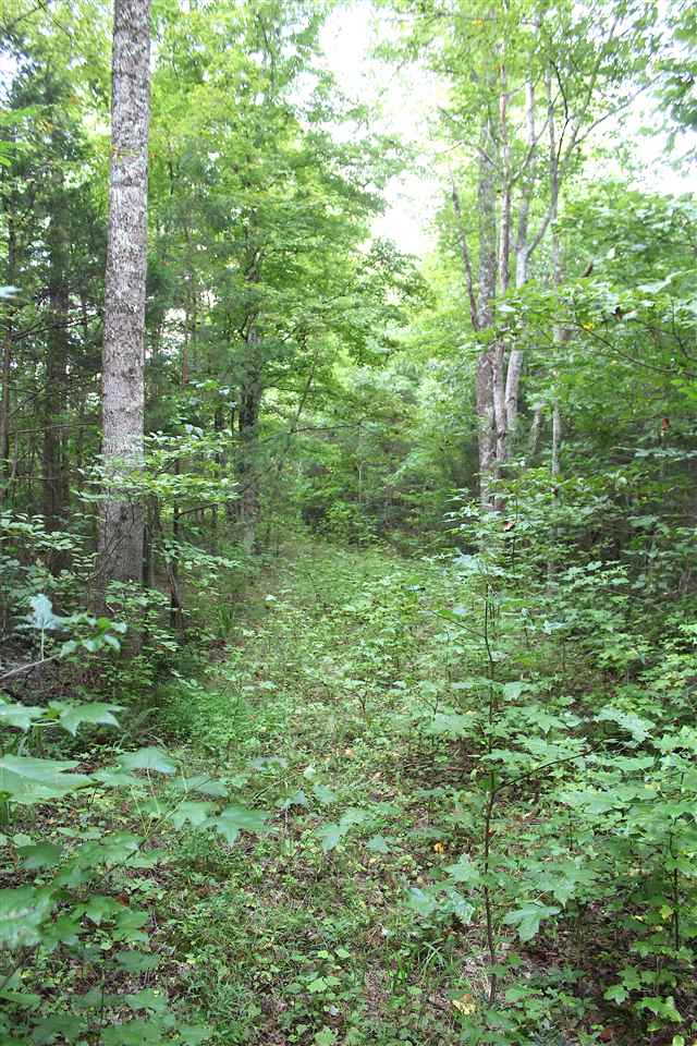 2039 Dexterville-Oak Ridge Road Morgantown, KY 42261 - Photo 12 of 17 Gallery Image 12
