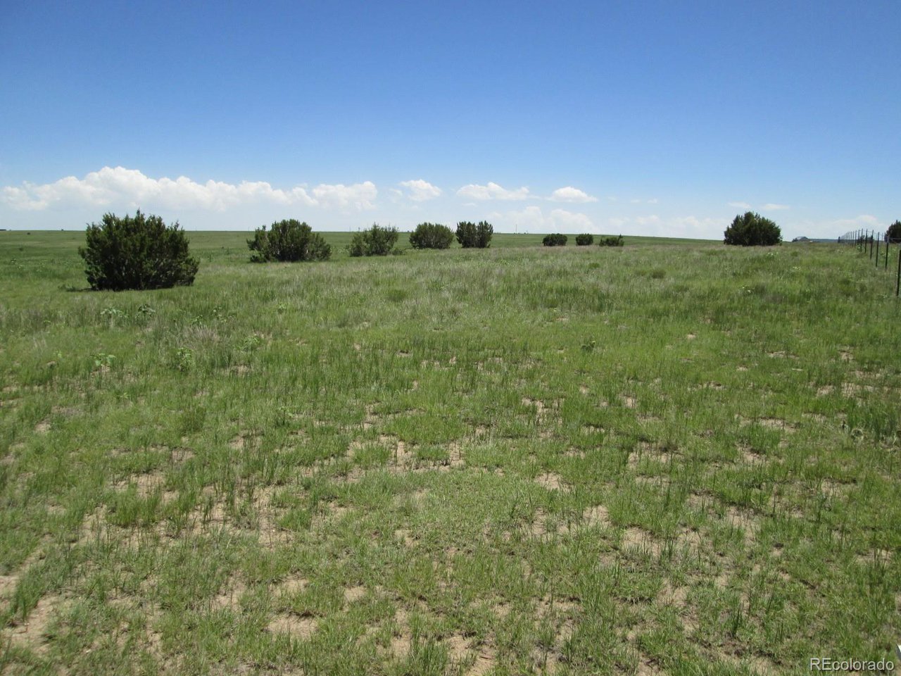 95 Sikes Ranch Rye, CO 81069 - Photo 1 of 30 a view of a green field