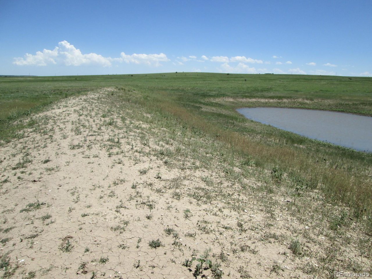95 Sikes Ranch Rye, CO 81069 - Photo 11 of 30
