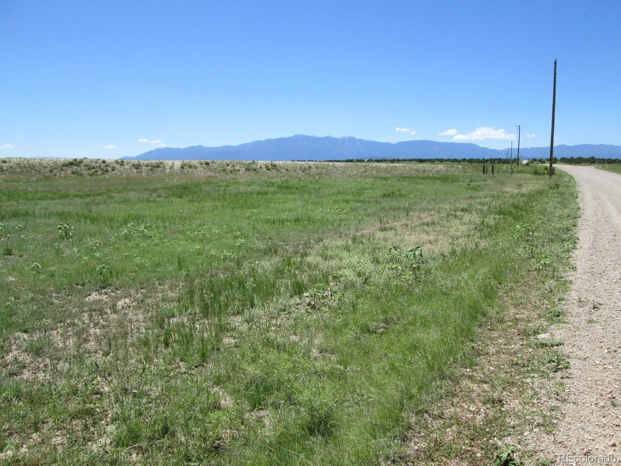 95 Sikes Ranch Rye, CO 81069 - Photo 15 of 30 a view of a lush green space