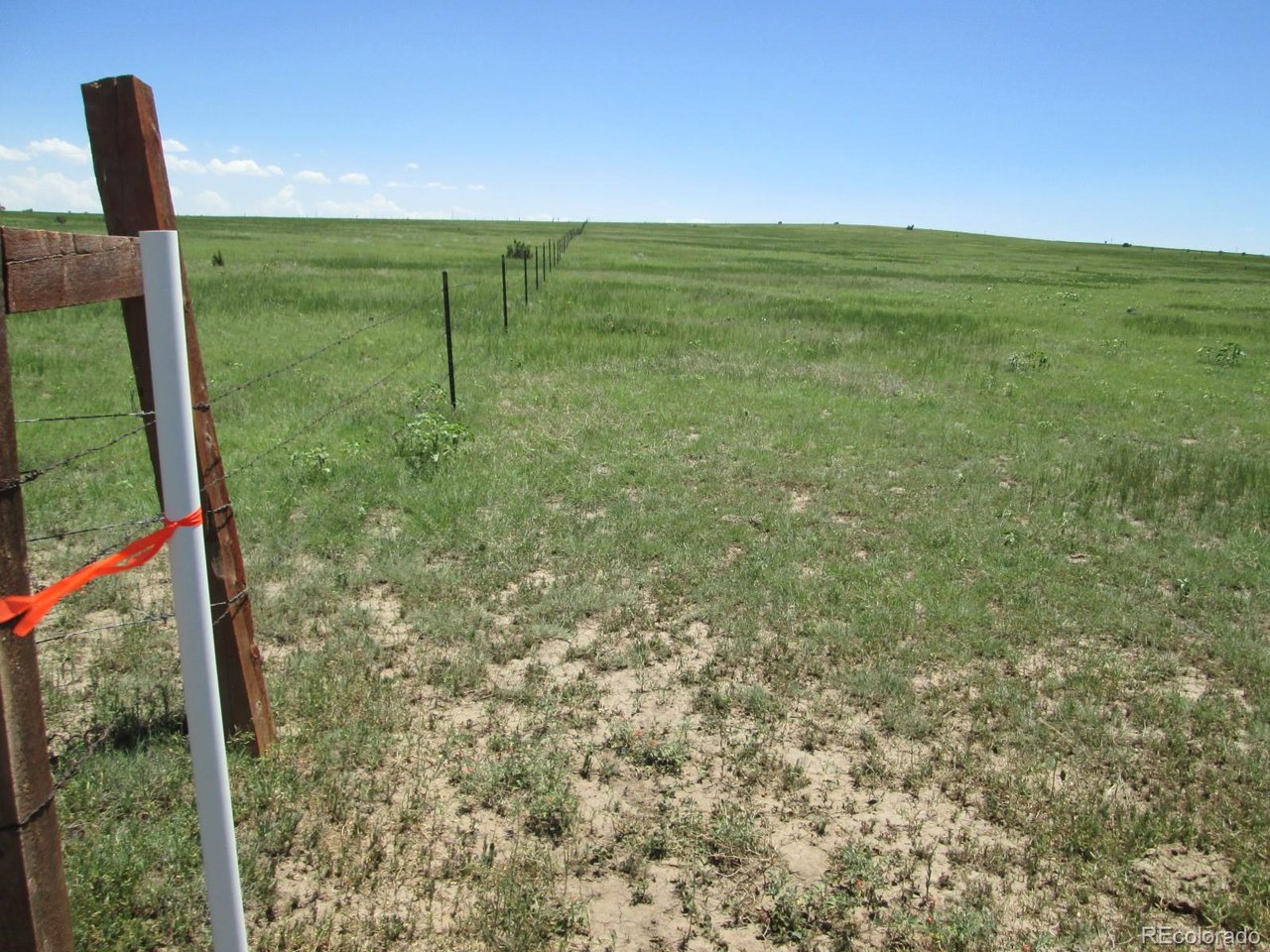 95 Sikes Ranch Rye, CO 81069 - Photo 17 of 30 a view of a garden from a balcony