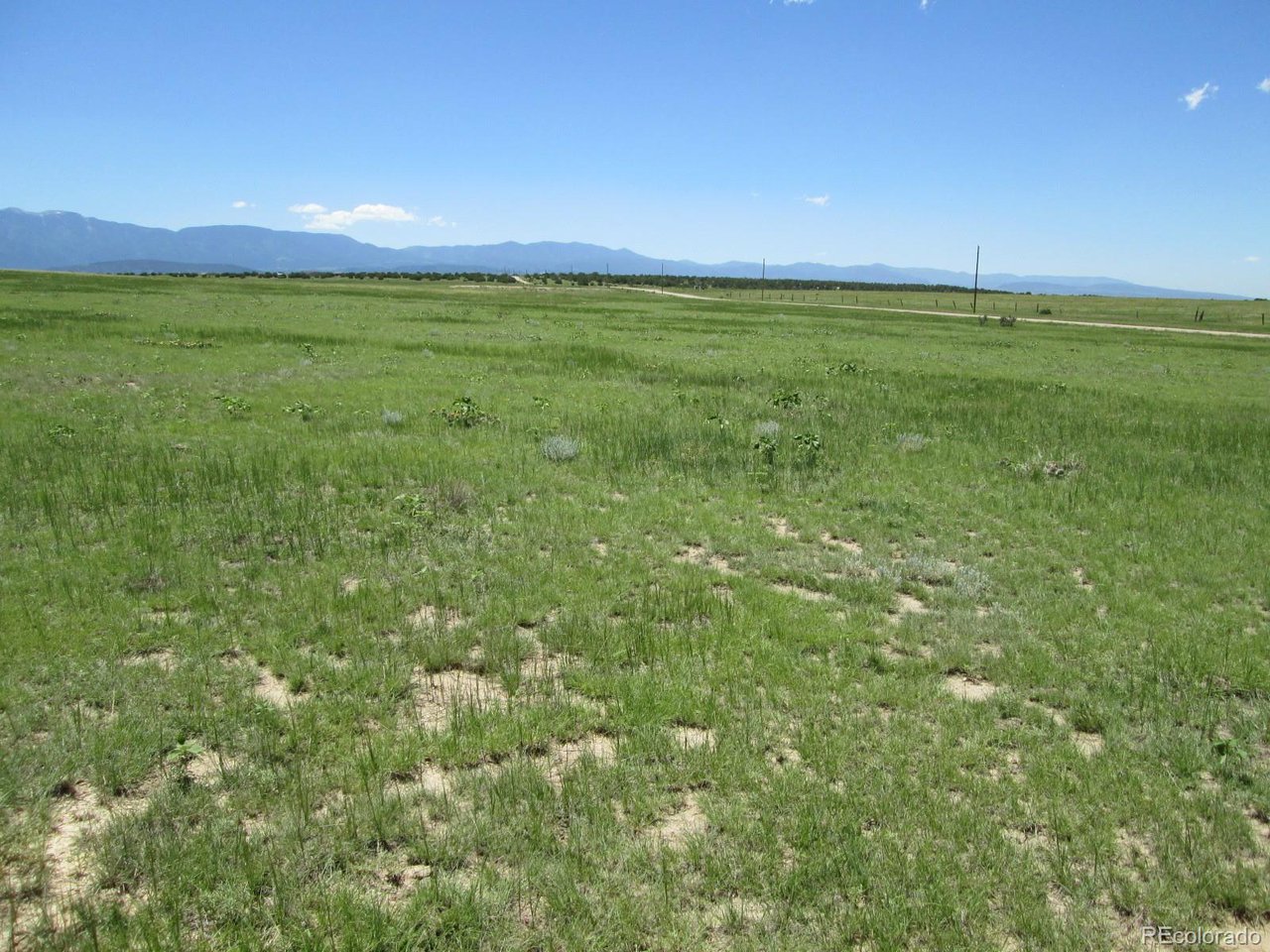 95 Sikes Ranch Rye, CO 81069 - Photo 20 of 30 a view of an outdoor space and yard
