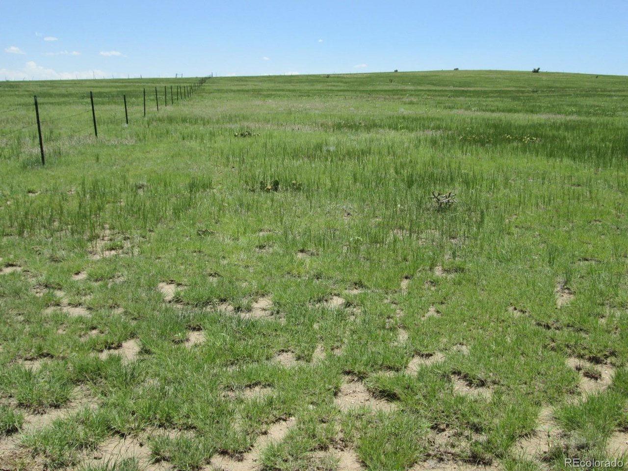 95 Sikes Ranch Rye, CO 81069 - Photo 22 of 30 a view of an ocean from a yard