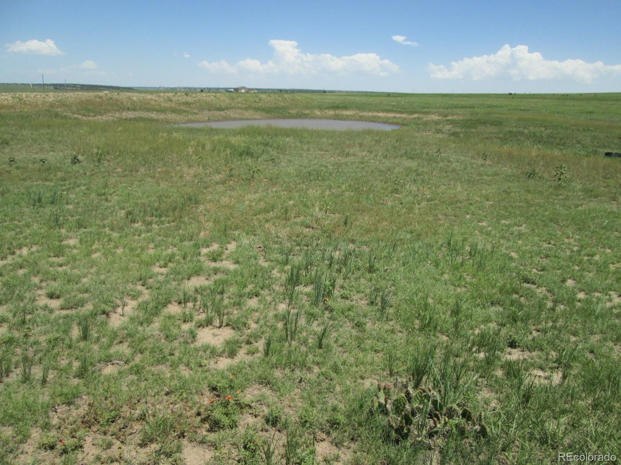 95 Sikes Ranch Rye, CO 81069 - Photo 7 of 30 a view of an ocean from a yard