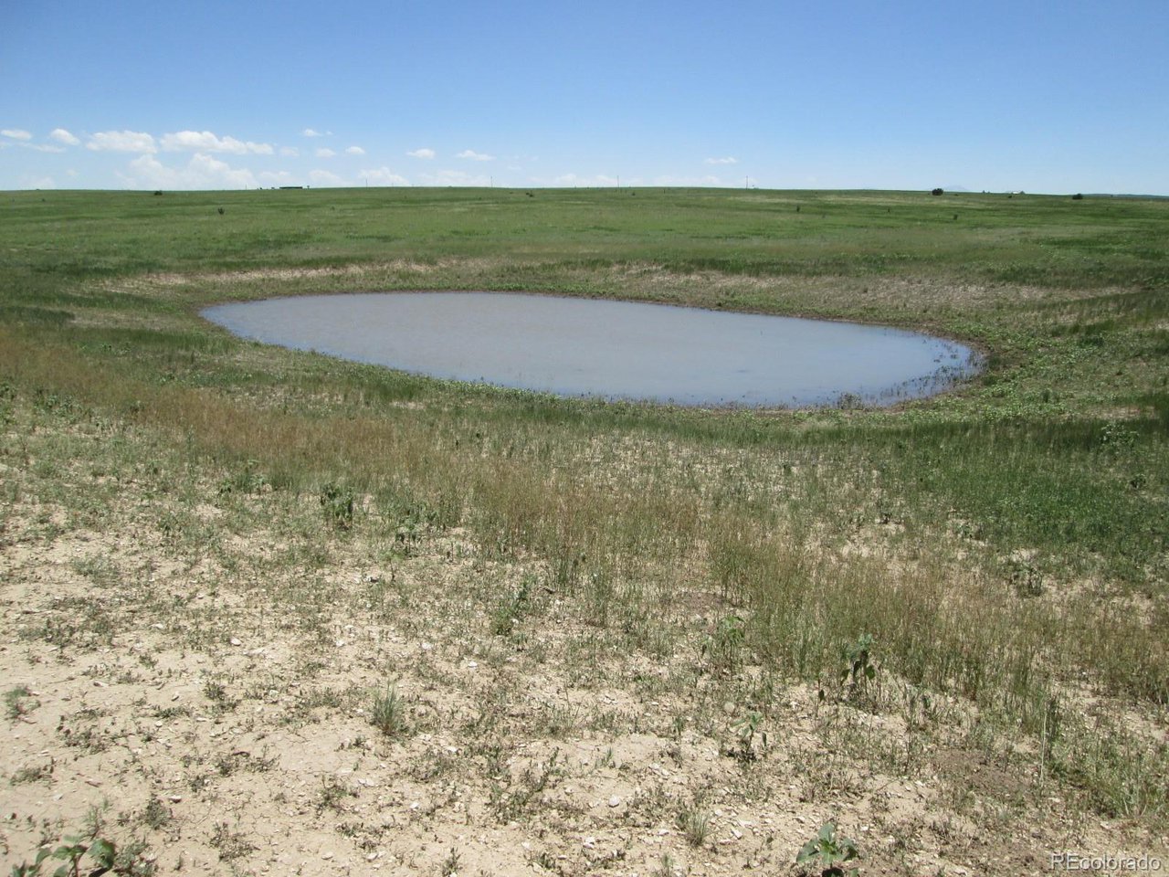 95 Sikes Ranch Rye, CO 81069 - Photo 10 of 30 a view of a field with an ocean