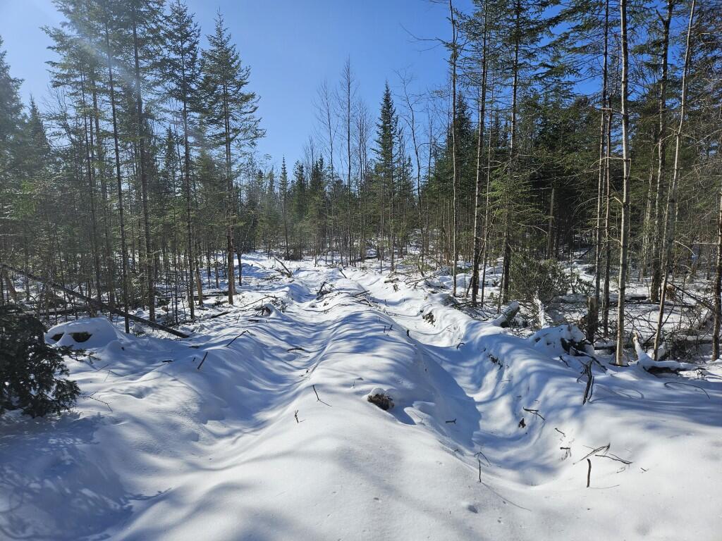 104 Town Road Lagrange, ME 04453 - Photo 2 of 30 2 North lot